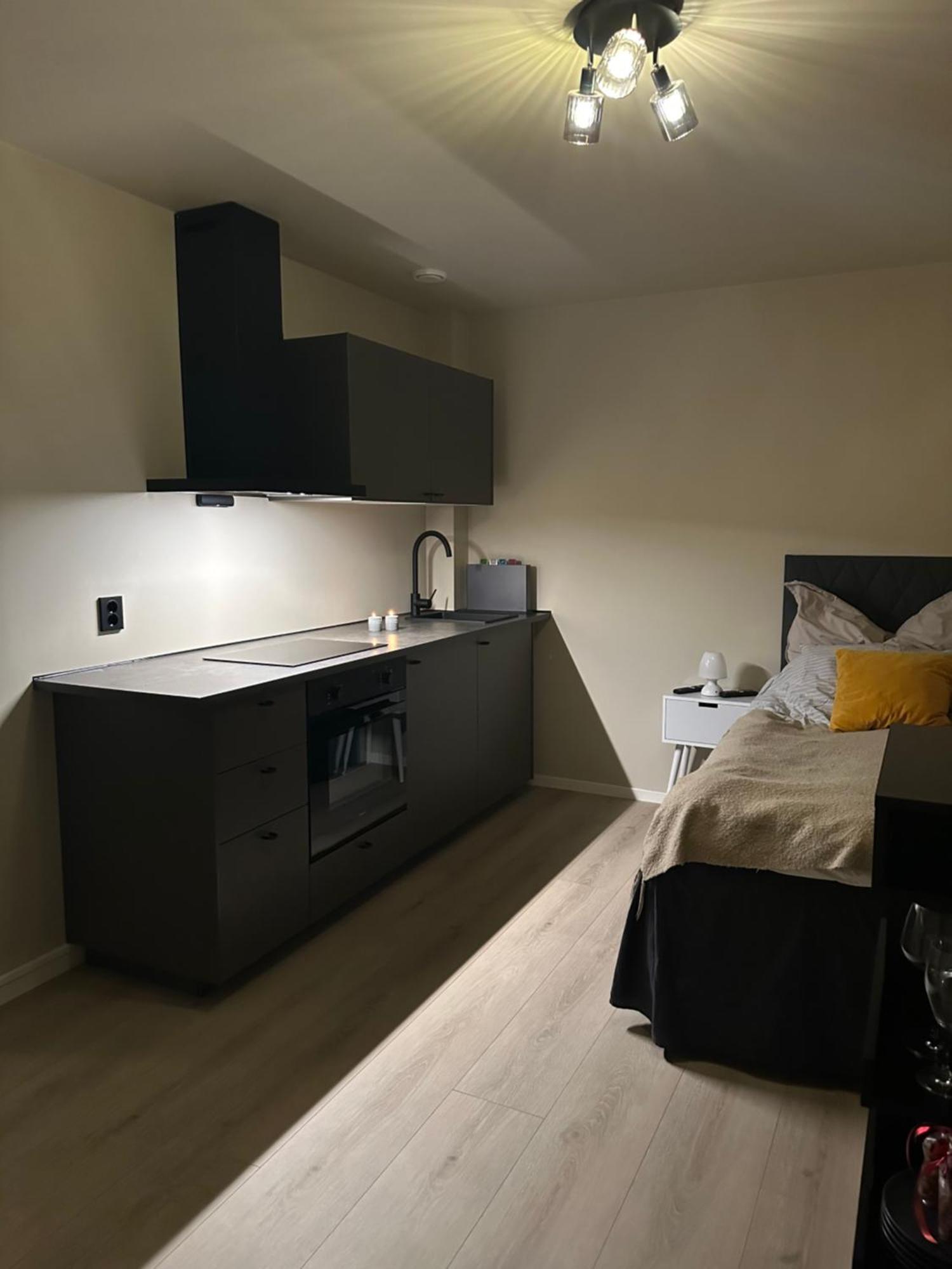 Northern Lights Studio Tromso Bagian luar foto